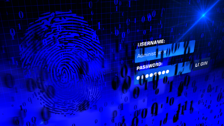 Reduce Your Cyber Risks with a HRM System